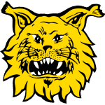 Pronostici Ilves vs TPS: Analisi e Quote per il 13 Giugno 2026 Ilves