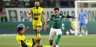 Palmeiras