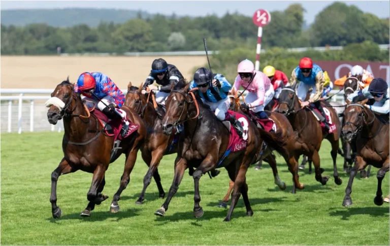 King George Qatar Stakes