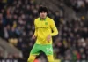 Pronostici Risultati Esatti: Strategia Doppia (Quota 153.00) Norwich