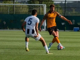 Hull City (opt)
