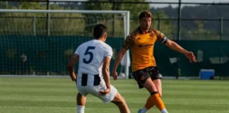 Hull City (opt)