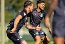 Palmeiras