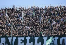 Avellino